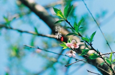 猜谜语题目:爸爸的耶诞节《打一个字》