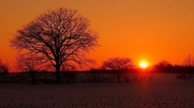 “唯愿孩儿愚且鲁” 《常用语半句/4字》