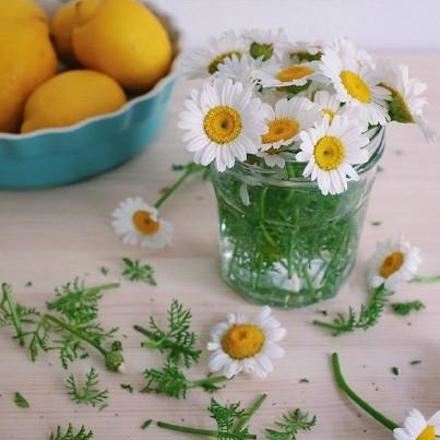 爷爷当先锋《打南北朝人名》