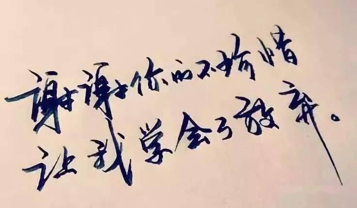 猜谜语题目:妇女节《打三个天文词》