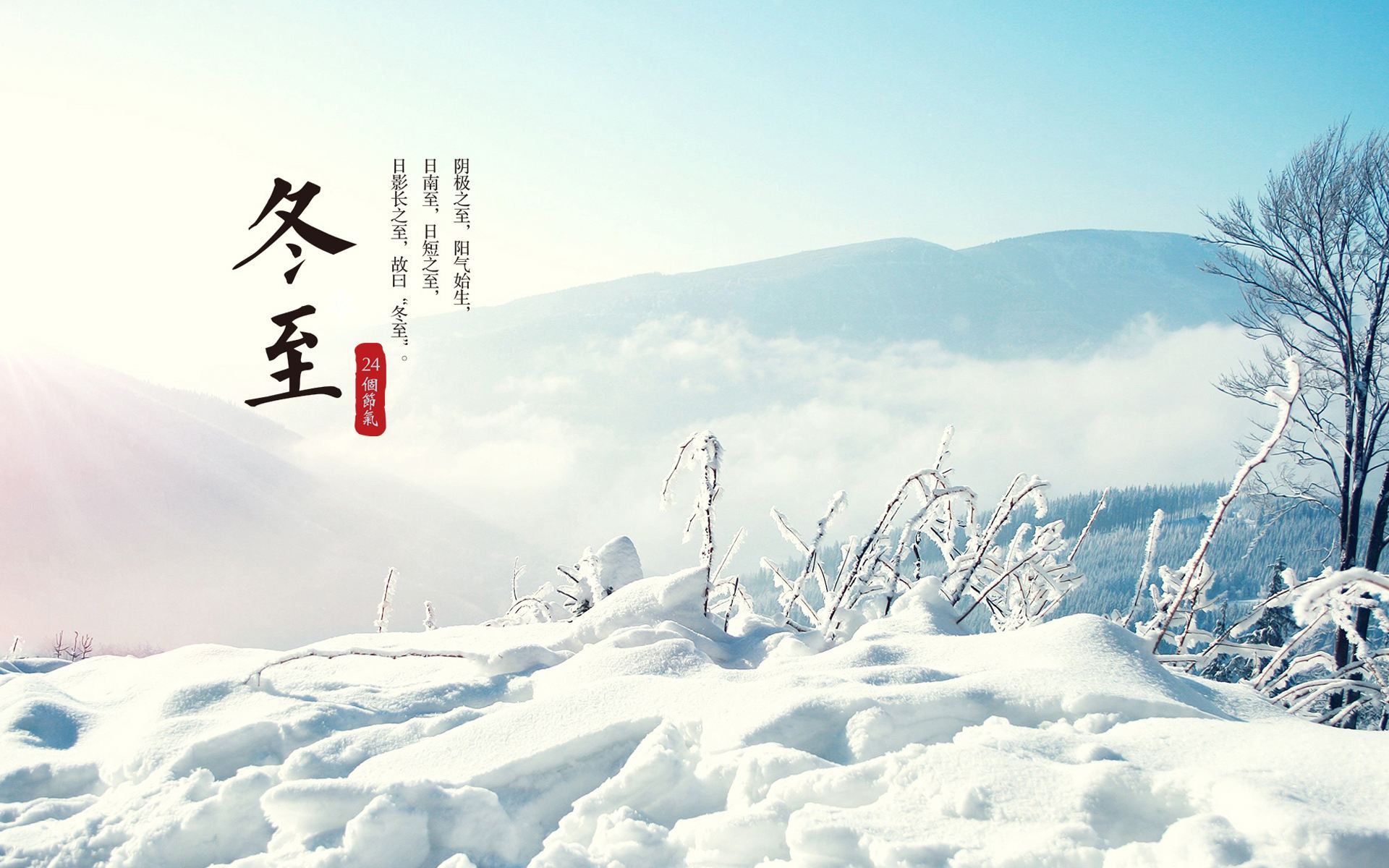 泪洒枕前与衫边 《植物》
