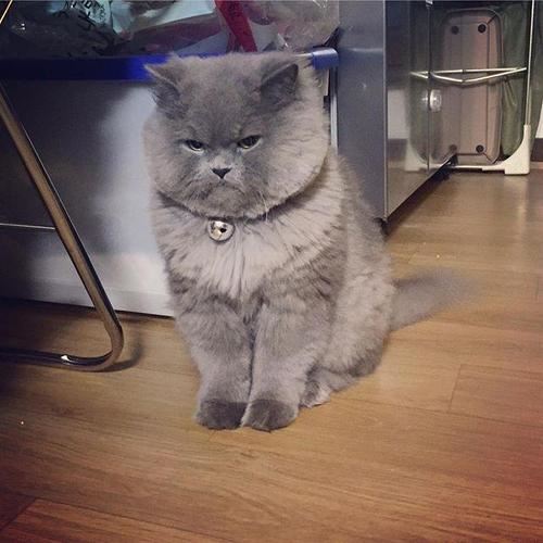 猜谜语题目:垂钓《打一个数学名词》
