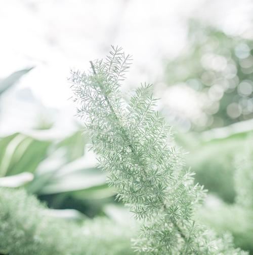 七仙女嫁出去一个《猜一成语》