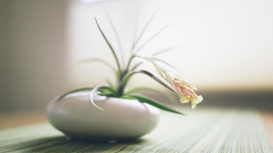 忽有好诗生眼底_安排句法已难寻 《骊珠》