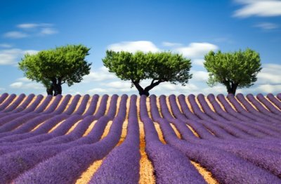 毁诺之后心已悔 《九画单字》