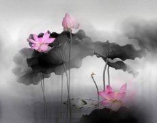 大姐飞行有规律_二姐总是成双对_三姐人云它亦云_四姐夜间寻食粮-　《猜动物