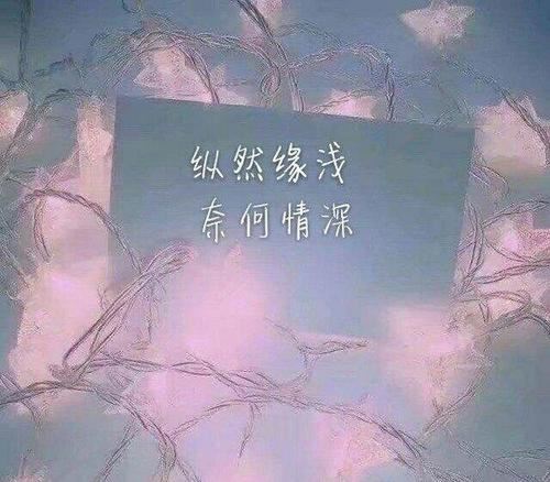 亚楼见首长就结巴 《打一成语》