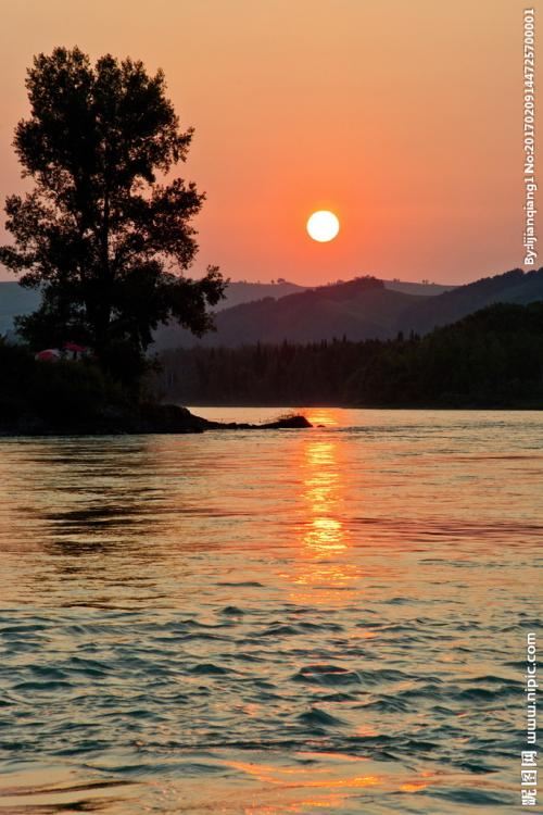 伴君如伴虎《猜一动物名》