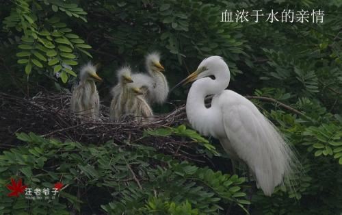 再度考虑一个人 《计量用语》