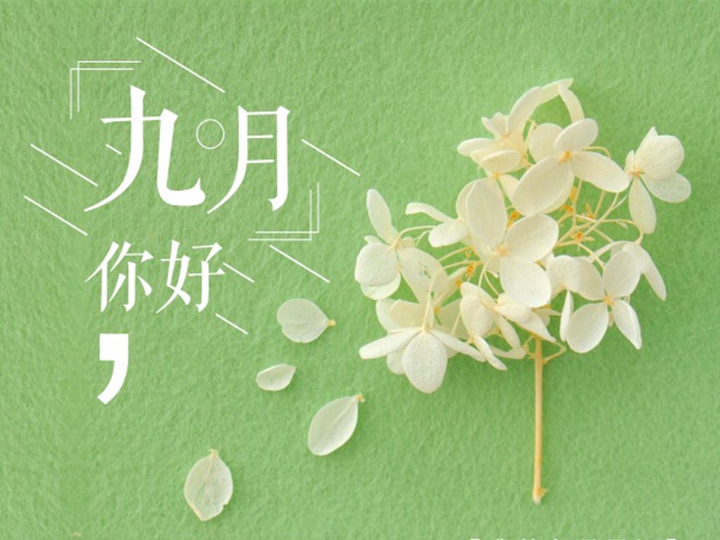 恪守清规 《军事名词》