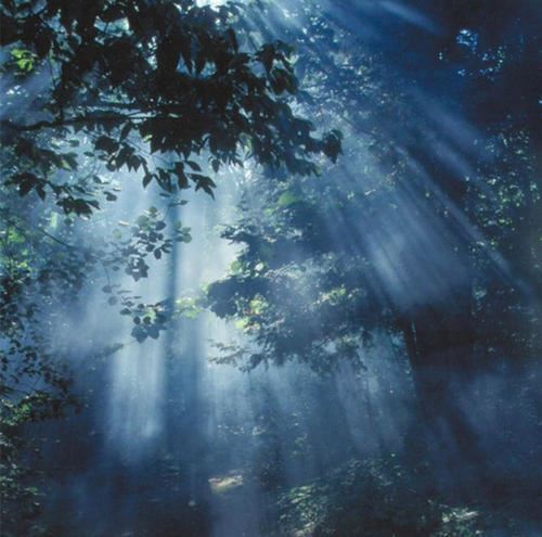 “钉子十七不嫁_其父母有罪；丈夫二十不辔_其父母有 《骊珠》