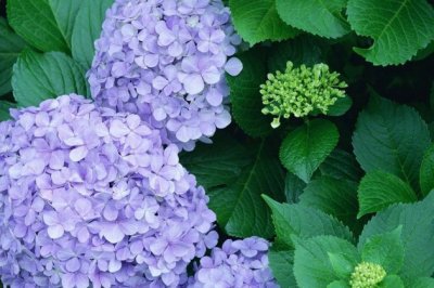 日落星出月当头《猜一名》