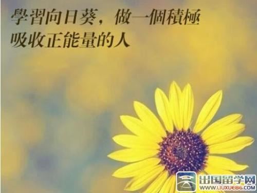 春眠不觉晓《猜一中药名》