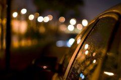 苏轼之妻 《菜名一_蜓尾格》