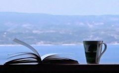 你方唱罢我登场《猜一数学词语》