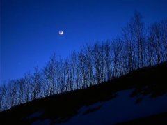 弟兄十个肚里空,有皮无骨爱过冬,不怕风雪不怕寒,越冷它就越有用《打一个物品》