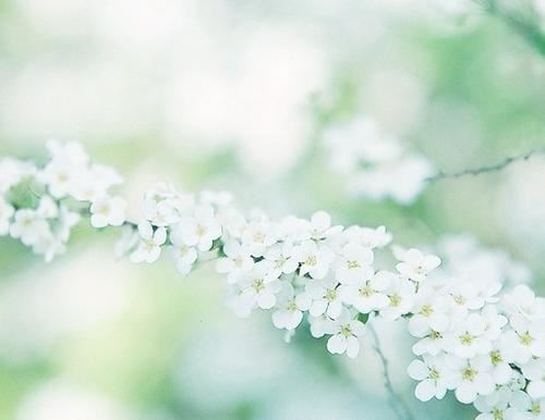 意见相左《猜一数学词语》