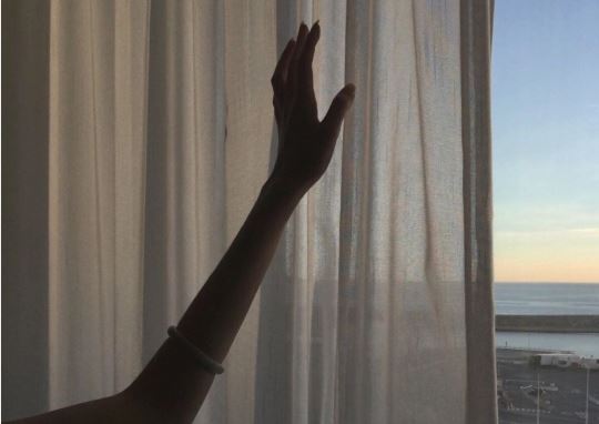 颜色有白又有灰_经过驯养很聪明_可以当做联络员_飞山越岭把信送-《猜一动物》