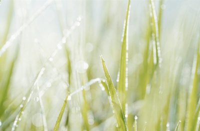 双方正在此喧哗 《河北地名》