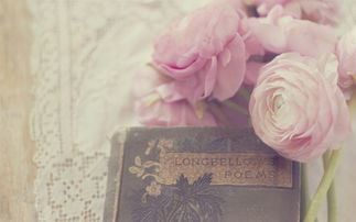 春临华夏中原 《骊珠》