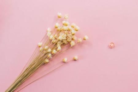 至死不入县-《猜一数学词语》