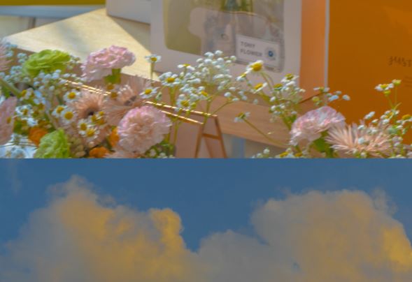 “一一花开春景迟” 《剧种别称》