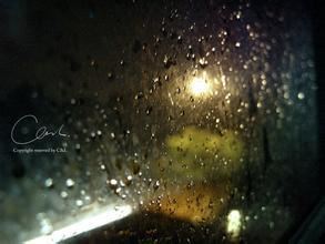 忡然若失_果情种也 《农物》