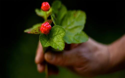 一到闰月重安排 《人体部位》