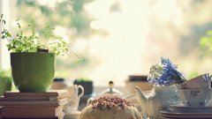 再三谦让《猜一《三国演义》人名》