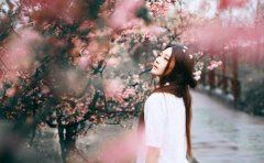 春城无处不飞觞 《中国民歌》