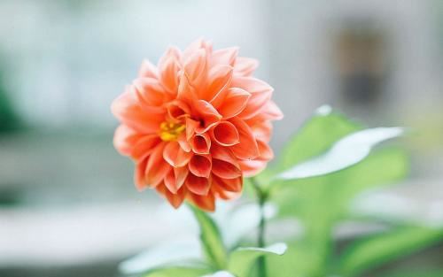 太原队夺冠 《体育名词》