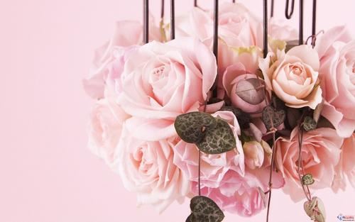 样子像小船_角儿两头翘_骨头在外面_肉儿里头包-《猜一植物》