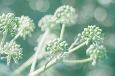 来往莫相猜 《穴位》