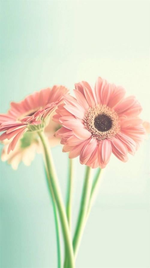 猜谜语题目:人不在其位《打一个字》