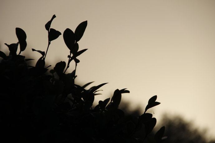 白骨毒计原也深《猜一数学词语》