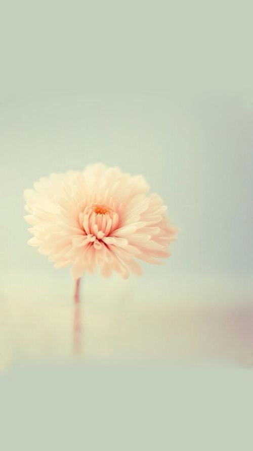 章句不佳《打《三国演义》人名一》