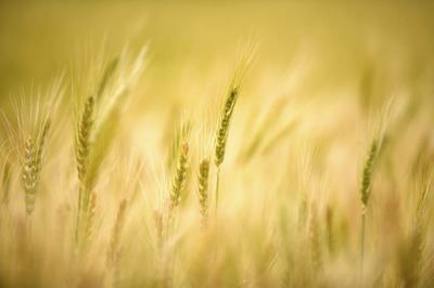 冒冒失失_连降两级　《猜春秋人物》