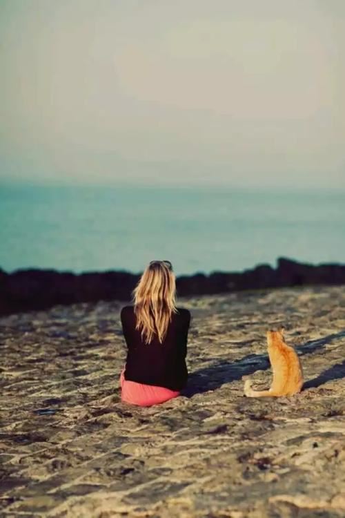 谜底是消防车的谜语_关于消防车的谜语