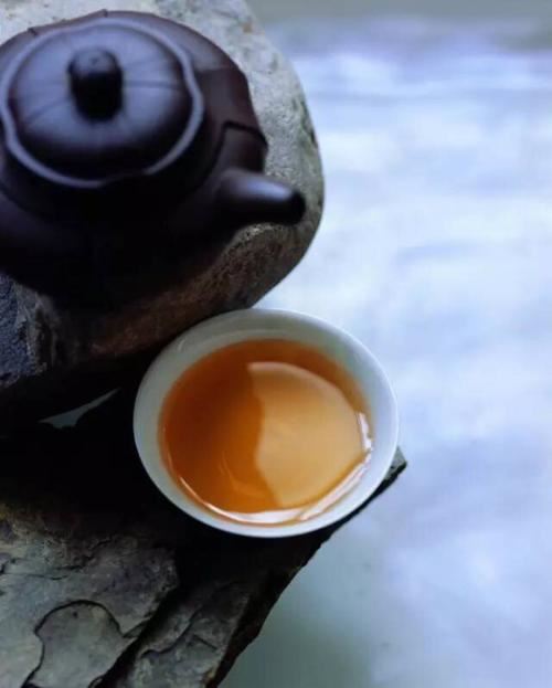 鲁直心细东坡若愚 《中药2》