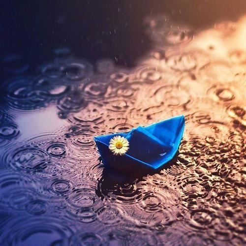 一星星一点点,走大路钻小洞《打一个动物》