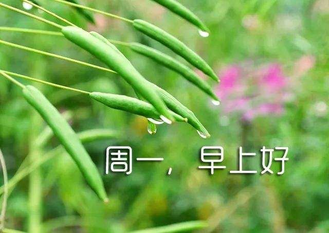 爸爸乔装闲出门 《地名》