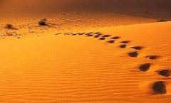 神州儿孙都英豪 《京剧目》