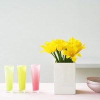 西风飘扬孤雁飞 《八画单字》