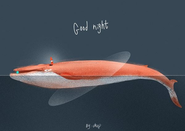 “可怜光彩生门户” 《加拿大地名》