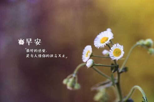 泛泛之辈_焉夸海口 《4字交通名词》