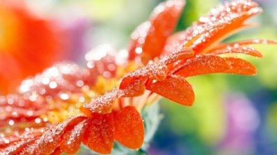 上清下清 《单位简称》