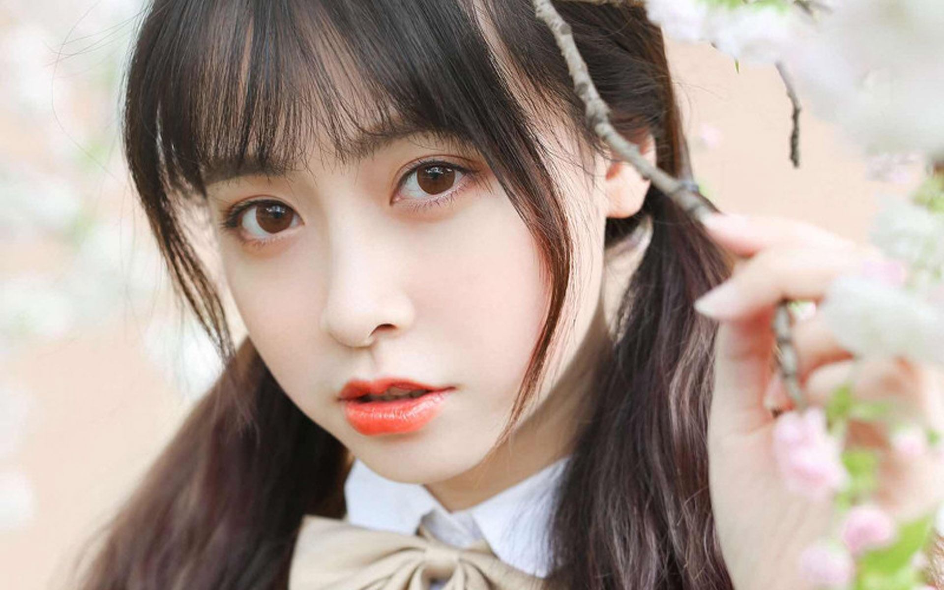 房东请来个帮手 《中分离合字》