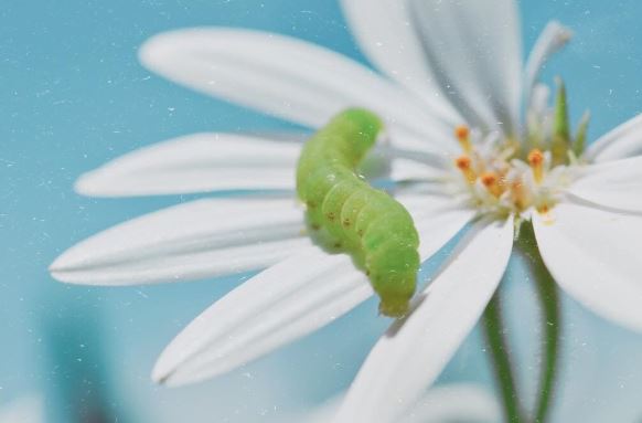 获奖文章已结册 《五唐》