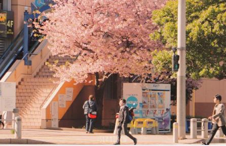 猜谜语题目:白头谐老《打一个字》