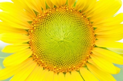 直言曹参随萧规 《多字成语_卷帘格》